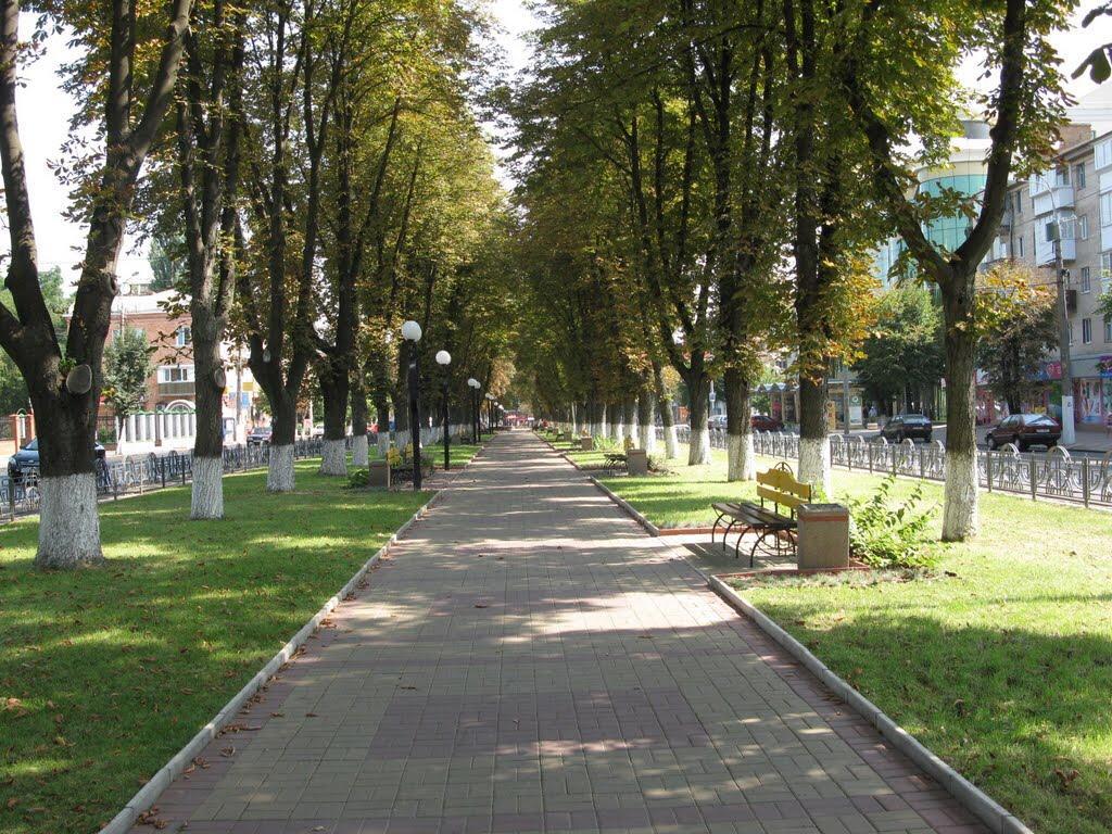 Неймовірно Затишна Студія У Центрі Міста Біля Лікарні Імені Пирогова Vinnytsia Exterior photo